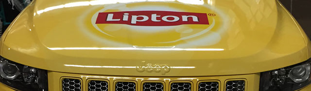 lgn13-portfolio-lipton